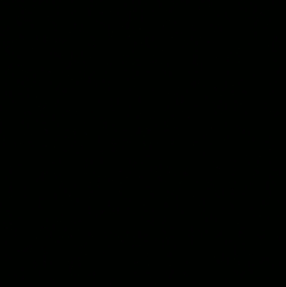 uma_____